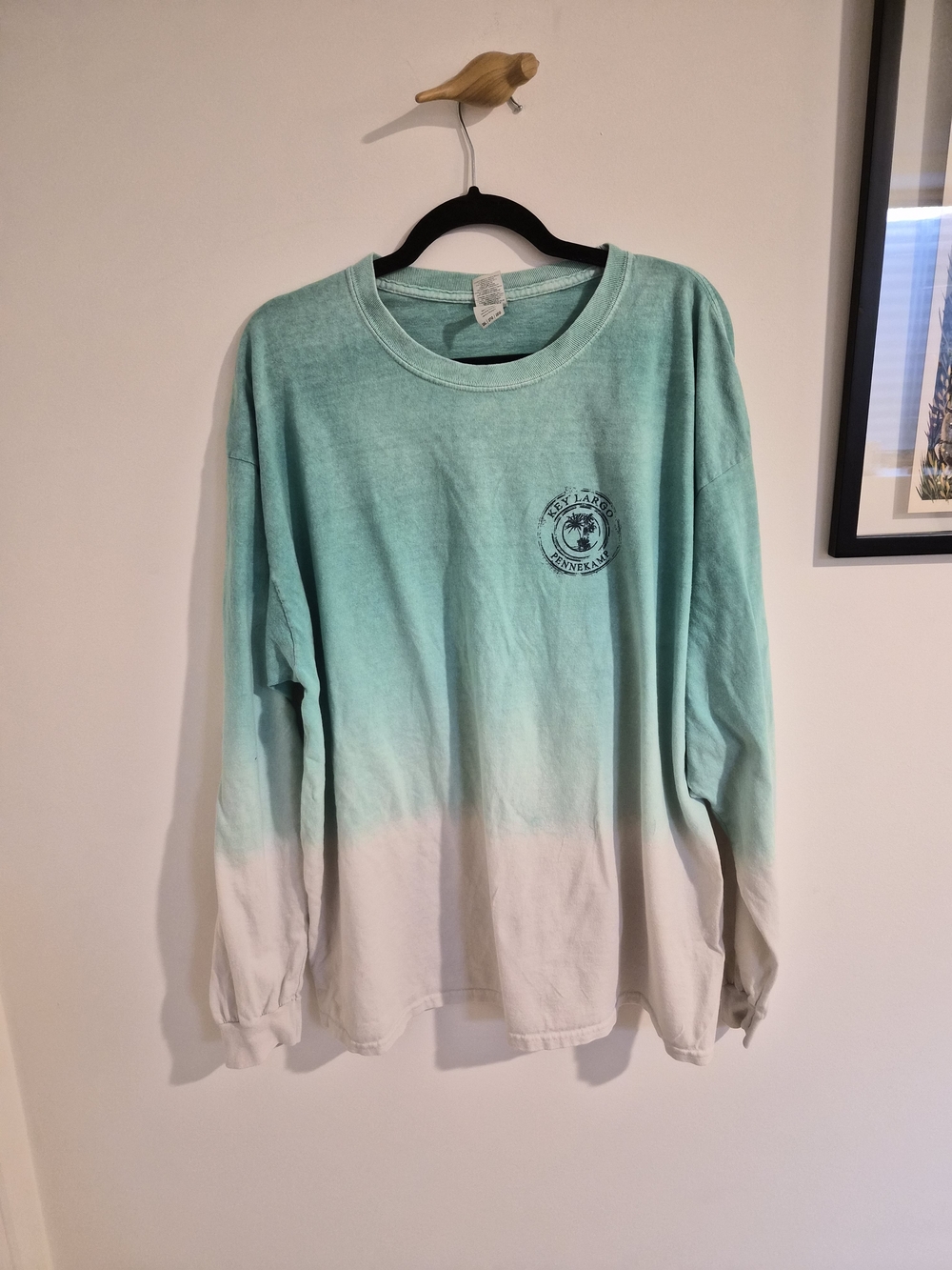 Gildan Mint Green to White Ombre Long Sleeve Tee